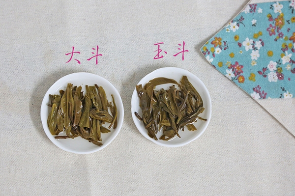 斗記2016年大斗和玉斗葉底對(duì)比