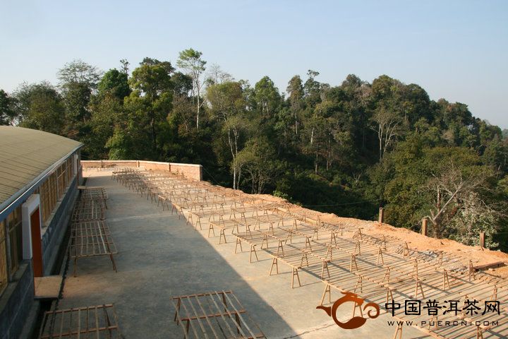 陳升號(hào)老班章普洱茶基地