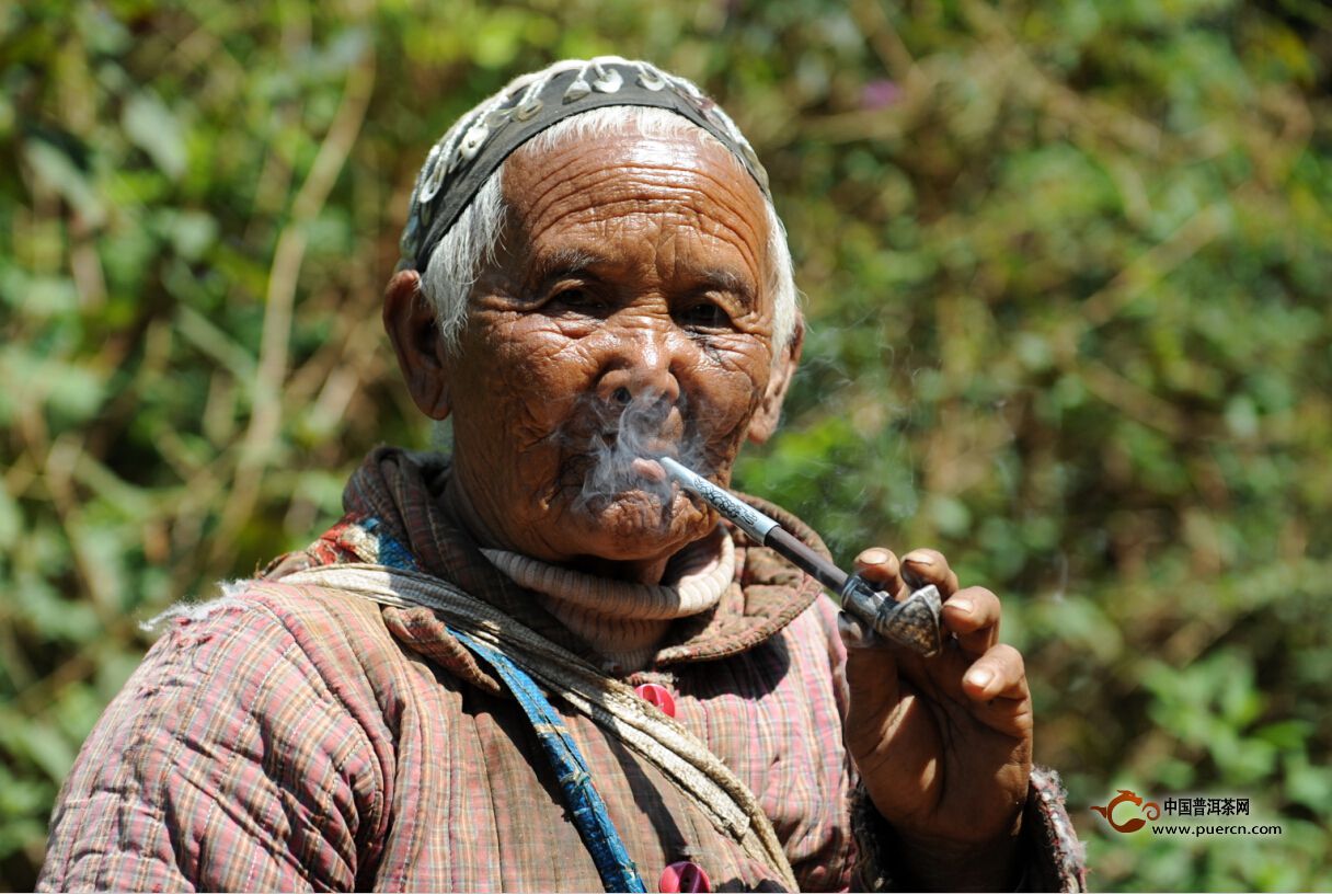 是誰把茶友逼上了茶山？！