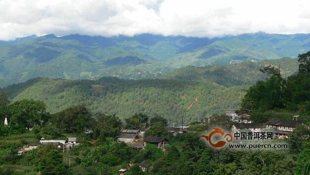 臨滄永德大雪山茶區(qū)茶山資料介紹