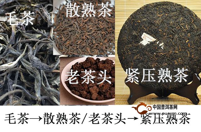 毛茶變成熟茶