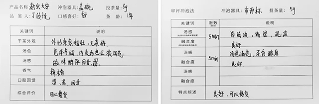 書院熟茶千堆第41期，發(fā)酵程度輕，會呈現(xiàn)怎樣的口感？