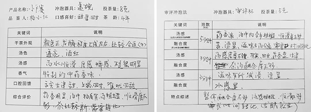 書院熟茶千堆第62期：二次發(fā)酵小戶賽，這可能是一款你喝不懂的茶