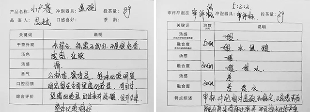 書院熟茶千堆第62期：二次發(fā)酵小戶賽，這可能是一款你喝不懂的茶