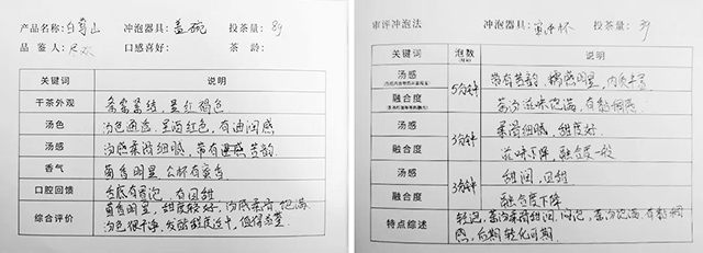 書院熟茶千堆第63期：白鶯山第三次發(fā)酵，發(fā)現(xiàn)更多可能性。