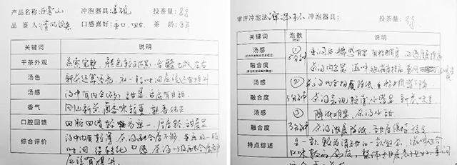 書院熟茶千堆第63期：白鶯山第三次發(fā)酵，發(fā)現(xiàn)更多可能性。