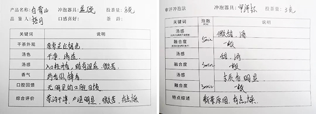 書院熟茶千堆第63期：白鶯山第三次發(fā)酵，發(fā)現(xiàn)更多可能性。