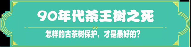 吉普號(hào)茶山黑話176:陸羽《茶經(jīng)》中，為何只字不提云南？