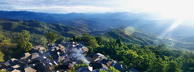 為了喝一口真茶，中國(guó)人寧愿跑到原產(chǎn)地去