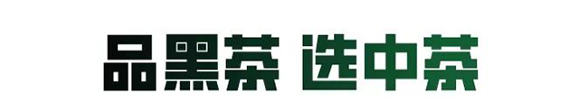 直播預(yù)告：探秘中茶普洱茶及安化黑茶的魅力所在?